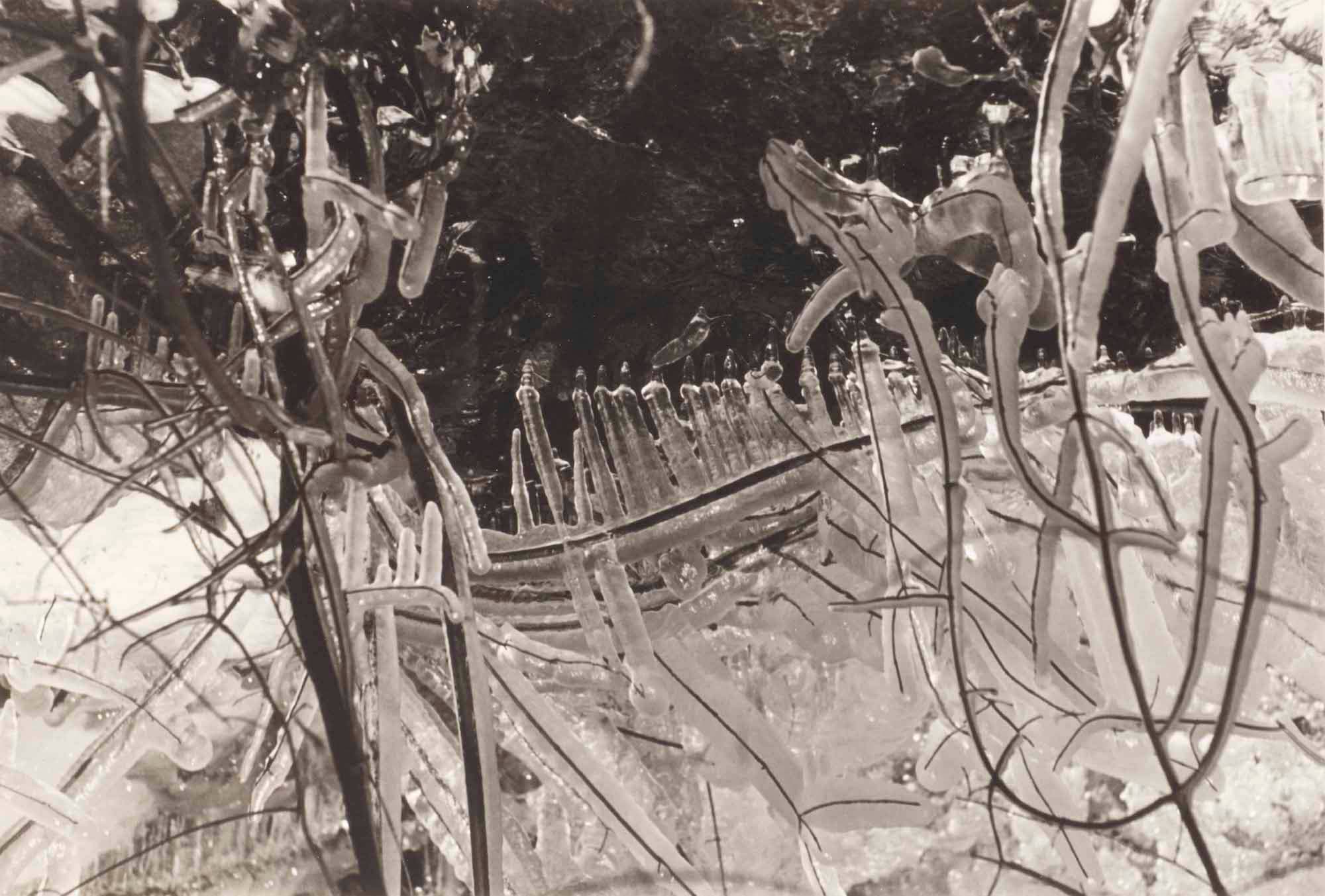 Ice on Branches, 1950s, Gelatin silver print, 8 3/4 x 13 in. (22.2 x 33 cm)
– The Richard Pousette-Dart Foundation