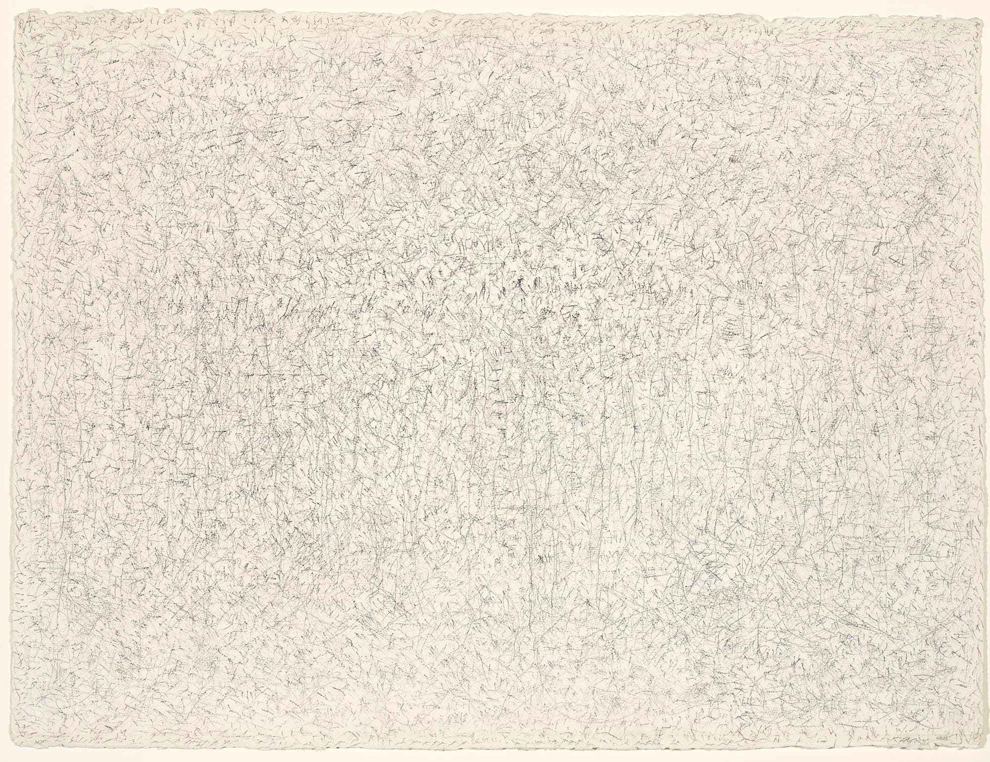 Untitled (Ramapo Freeze)
1976
Graphite on paper
22 1/2 x 30 in. (57.2 x 76.2 cm)
Bowdoin College Museum of Art, Brunswick, Maine
– The Richard Pousette-Dart Foundation