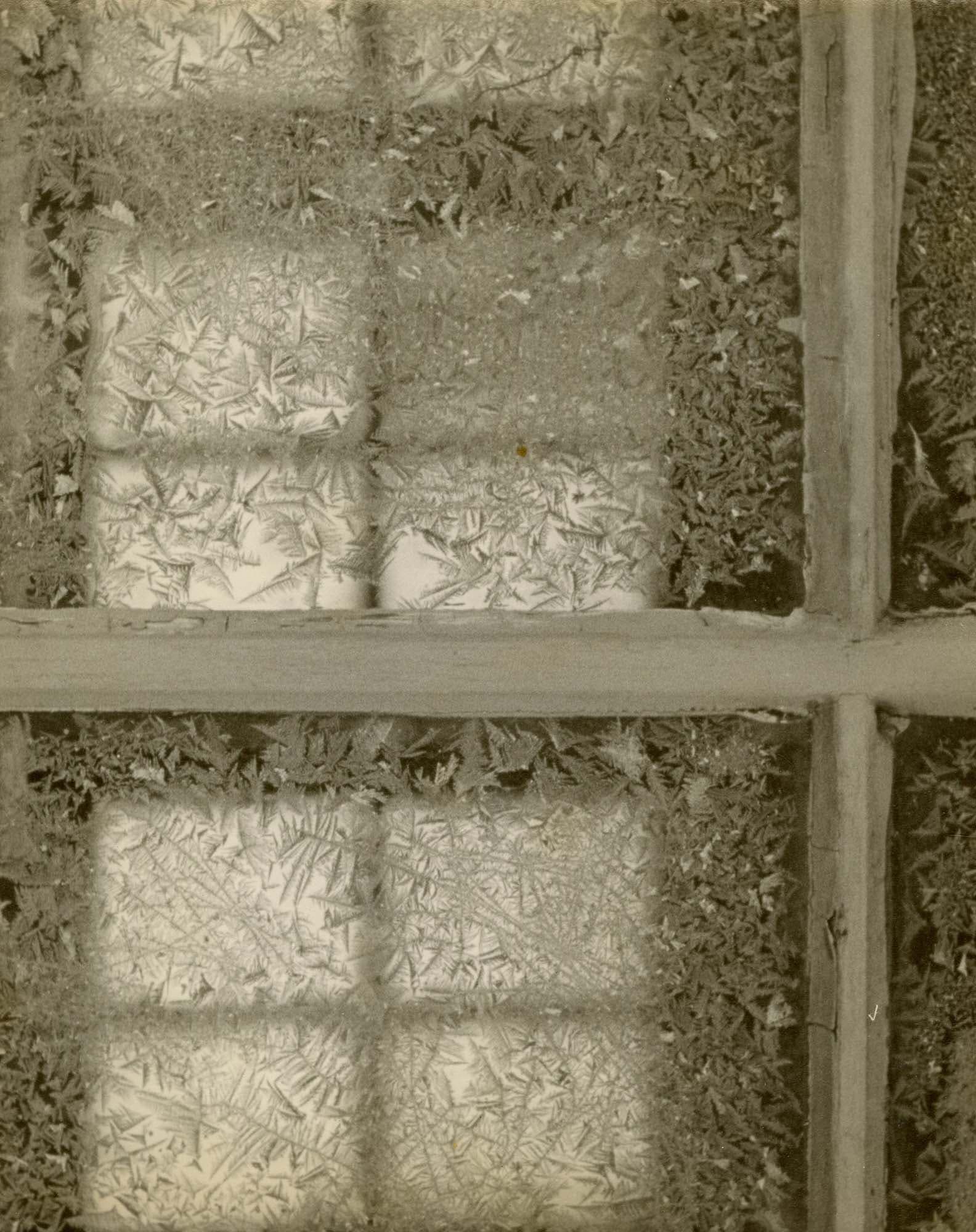 Frost
mid-1950s
Gelatin silver print
10 x 7 7/8 in. (25.4 x 20 cm)
– The Richard Pousette-Dart Foundation